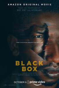смотреть Чёрный ящик (2020) на киного