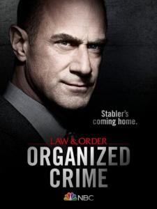 смотреть Закон и порядок: Организованная преступность 2 сезон 22 серия на киного